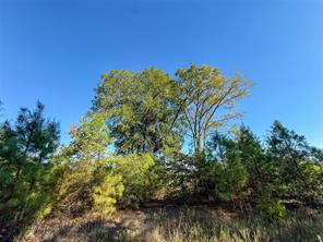 TBD S County Road 2242 - Photo 23