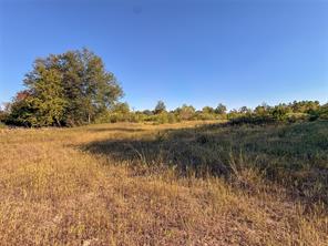 TBD S County Road 2242 - Photo 24