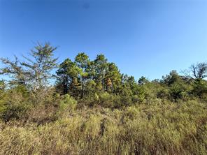 TBD S County Road 2242 - Photo 26
