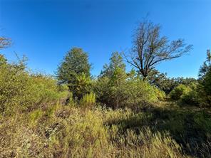 TBD S County Road 2242 - Photo 27