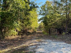TBD S County Road 2242 - Photo 28