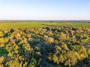 TBD S County Road 2242 - Photo 4
