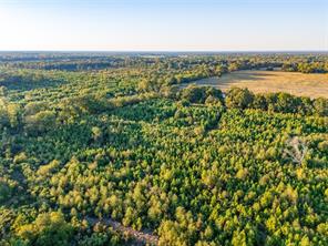 TBD S County Road 2242 - Photo 5