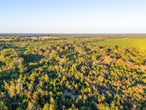 TBD S County Road 2242 - Photo 6