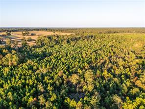 TBD S County Road 2242 - Photo 7