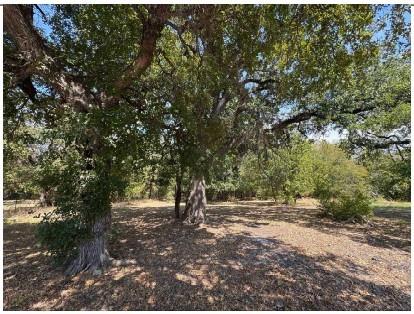 2712 Gillespie Street - Photo 1