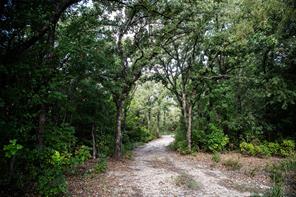 800 County Road 3519 - Photo 11