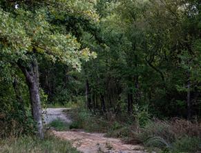 800 County Road 3519 - Photo 14