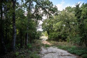 800 County Road 3519 - Photo 19