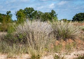 800 County Road 3519 - Photo 24