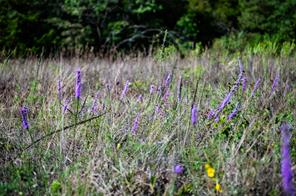 800 County Road 3519 - Photo 25