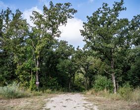 800 County Road 3519 - Photo 7