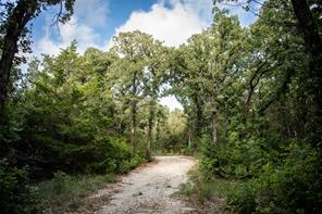 800 County Road 3519 - Photo 9