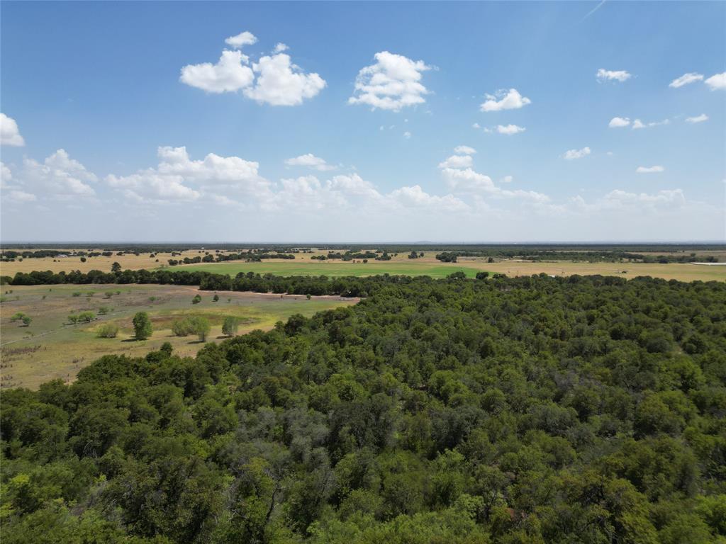TBD FM 3368 FM 3368 - Photo 11