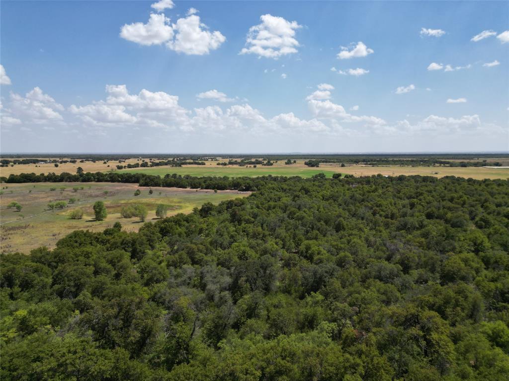 TBD FM 3368 FM 3368 - Photo 12