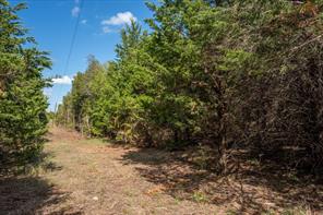 TBD County Road 936 - Photo 11