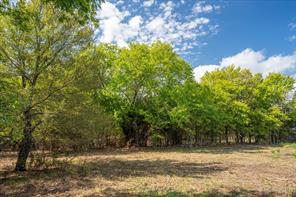 TBD County Road 936 - Photo 13