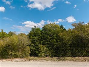 TBD County Road 936 - Photo 15