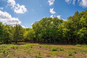 TBD County Road 936 - Photo 17