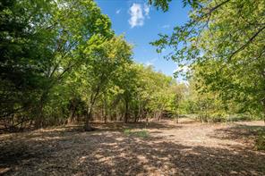TBD County Road 936 - Photo 3