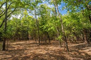 TBD County Road 936 - Photo 5