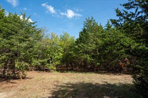 TBD County Road 936 - Photo 7