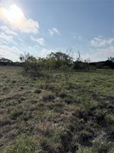 TBD tract 12 and 13 Mesa Ridge - Photo 2