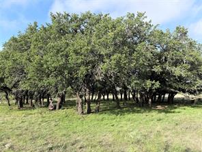 TBD tract 12 and 13 Mesa Ridge - Photo 3