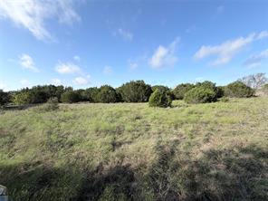 TBD tract 12 and 13 Mesa Ridge - Photo 7
