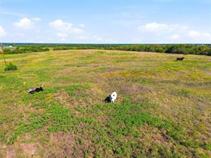 16947 TBA 01 County Road 617 - Photo 13