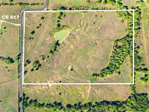 16947 TBA 01 County Road 617 - Photo 16
