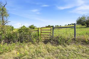 16947 TBA 01 County Road 617 - Photo 18