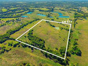 16947 TBA 01 County Road 617 - Photo 5