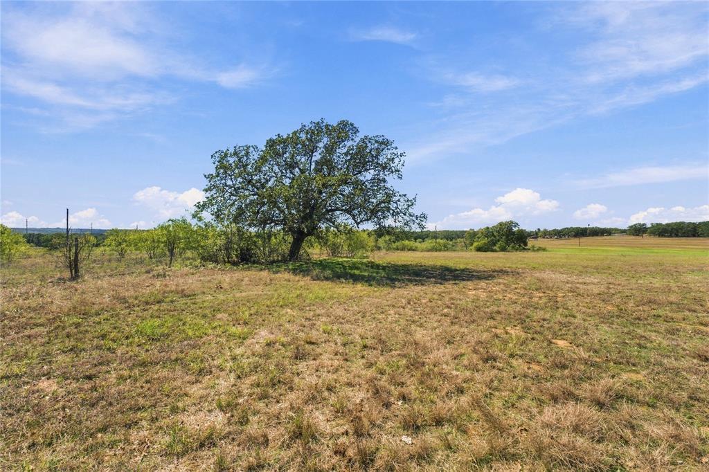 Tract 6 County Road 3671 - Photo 11
