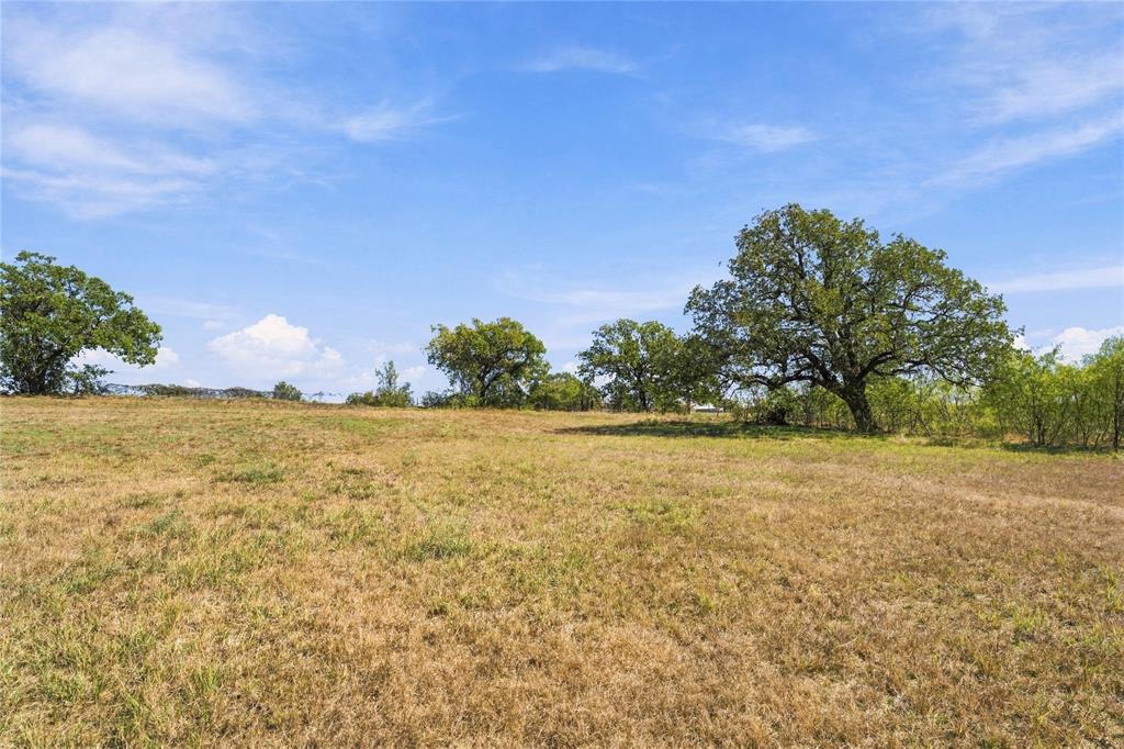 Tract 6 County Road 3671 - Photo 4