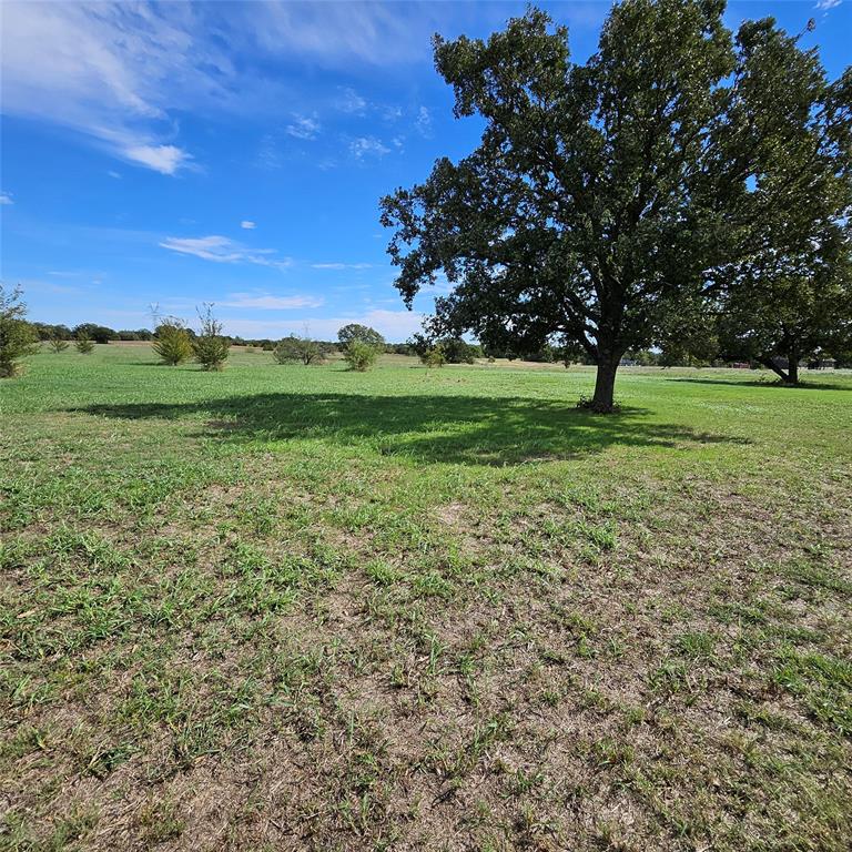 160 Rolling Hills Boulevard - Photo 1