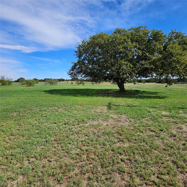 160 Rolling Hills Boulevard - Photo 6
