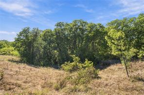 Tract 7 County Road 3671 - Photo 11