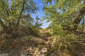 Tract 7 County Road 3671 - Photo 13