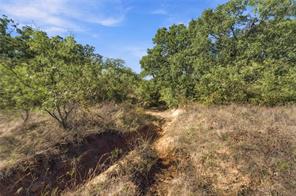 Tract 7 County Road 3671 - Photo 15