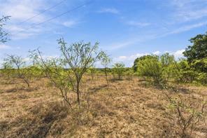 Tract 7 County Road 3671 - Photo 18