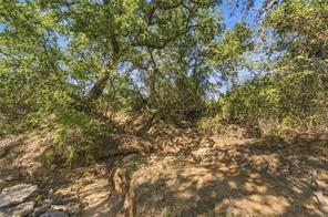 Tract 7 County Road 3671 - Photo 22