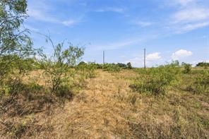 Tract 7 County Road 3671 - Photo 23