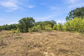 Tract 7 County Road 3671 - Photo 6