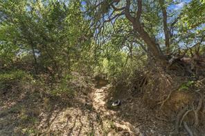 Tract 7 County Road 3671 - Photo 7
