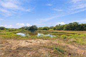 Tract 7 County Road 3671 - Photo 8