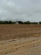 TBD 5th Avenue - Photo 14