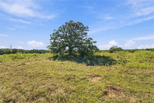 Tract 8 County Road 3671