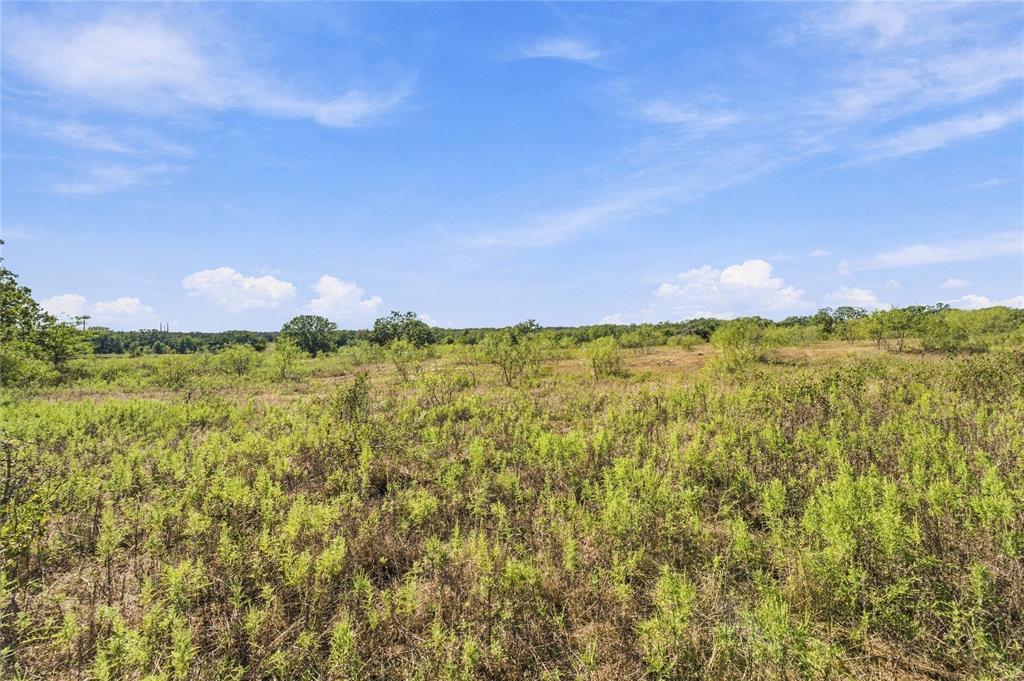 Tract 8 County Road 3671 - Photo 11