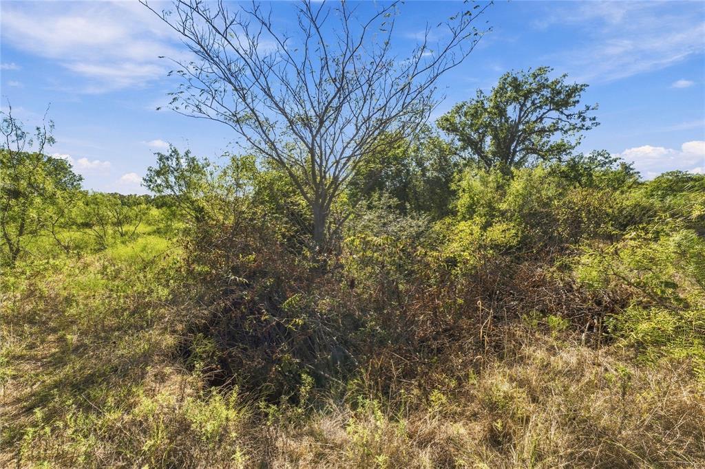 Tract 8 County Road 3671 - Photo 13